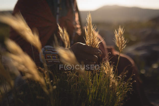 Mid section of maasai man holding grass at countryside — Stock Photo