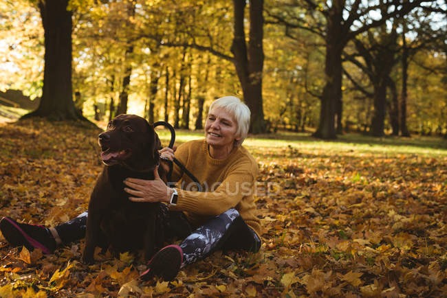 Старша жінка сидить на землі і погладжує собаку в парку в сонячний день — стокове фото