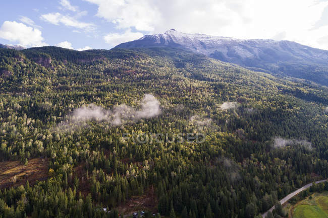 Bela vista da encosta da montanha coberta com floresta verde durante o inverno — Fotografia de Stock