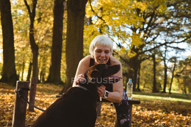 Mulher sênior em um parque alimentando seu cão em um dia ensolarado — Fotografia de Stock