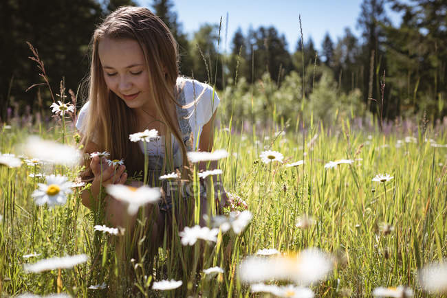 Girl touching flowers in field in summer sunlight. — Stock Photo