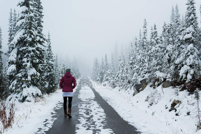Задний вид женщины, идущей по дороге зимой — стоковое фото