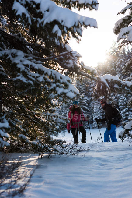 Casal snowshoeing com mochilas em bosques nevados . — Fotografia de Stock