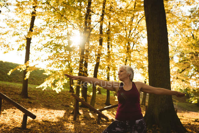 Donna anziana che esegue esercizio di stretching nel parco in una giornata di sole — Foto stock