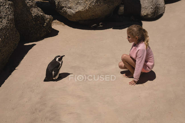 Girl looking at penguin on beach — Stock Photo