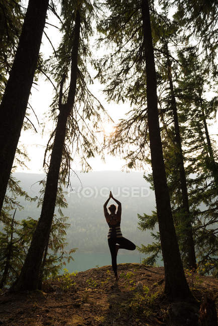 Вмістити жінку, що виконує розтягування в пишному зеленому лісі під час світанку — стокове фото