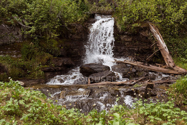 Schöner Wasserfall im Wald an einem sonnigen Tag — Stockfoto
