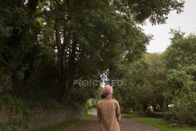 Vue arrière de la femme marchant dans le sentier forestier — Photo de stock