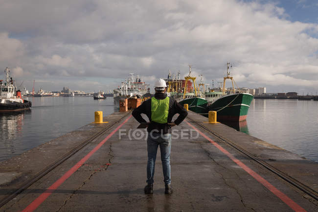 Vista traseira do trabalhador portuário em pé no porto — Fotografia de Stock