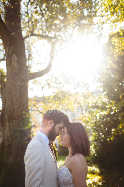 Romantici sposi che si abbracciano in giardino in una giornata di sole — Foto stock