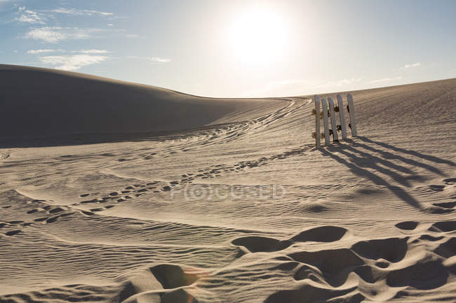 Песчаные доски держатся в ряд на песке в солнечный день — стоковое фото