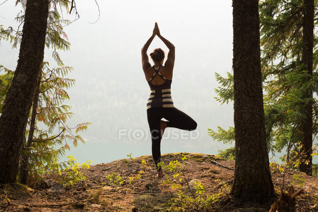 Mujer en forma realizando ejercicio de estiramiento en un exuberante bosque verde a la hora del amanecer - foto de stock
