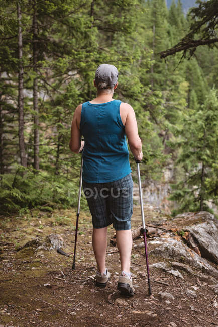 Vista trasera de una mujer madura caminando con bastones de senderismo en el bosque - foto de stock