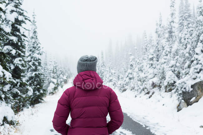 Задний вид вдумчивой женщины, стоящей на дороге зимой — стоковое фото