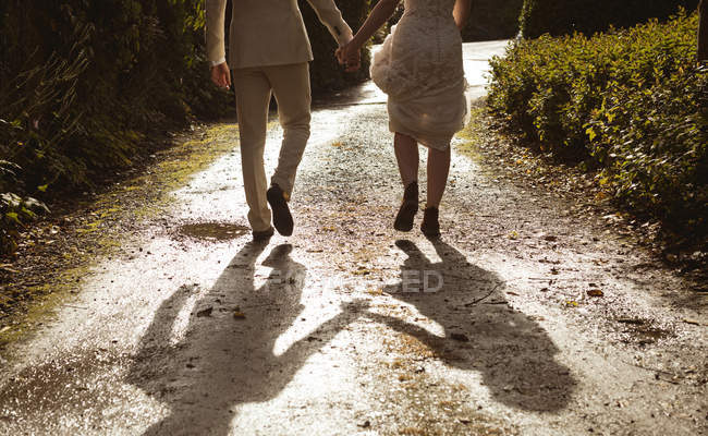 Vue arrière des mariés marchant main dans la main dans le jardin — Photo de stock