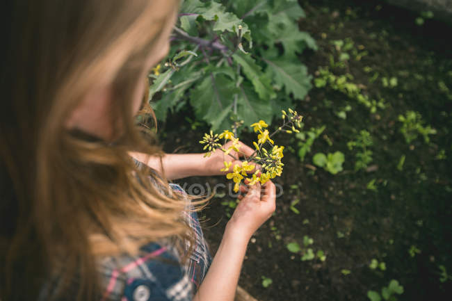 Vista de ángulo alto de la niña sosteniendo la flor en la mano en invernadero - foto de stock