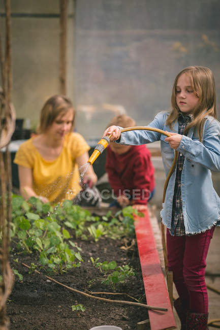 Linda chica regando plantones en invernadero - foto de stock