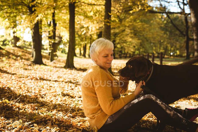 Старший жінка, сидячи на землю і гладив її собака в парку сонячний день — стокове фото