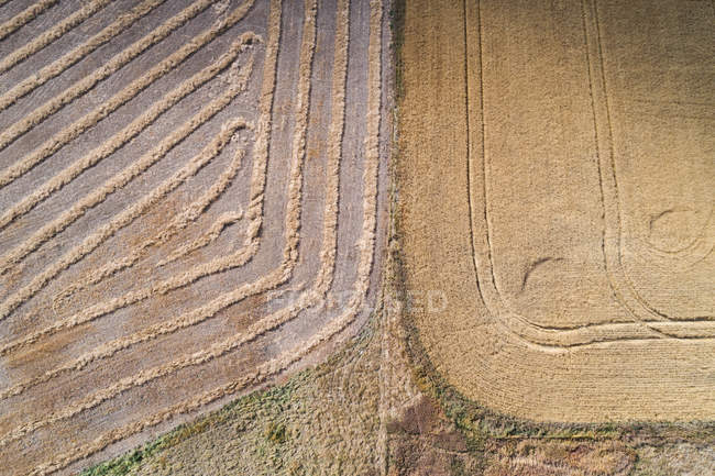 Aerial of patterns on harvested wheat field — Stock Photo