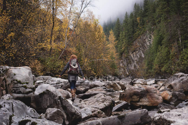Vista posteriore della donna che cammina sulle rocce nella foresta autunnale — Foto stock