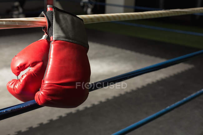 Primer plano de los guantes de boxeo en el anillo de boxeo . - foto de stock