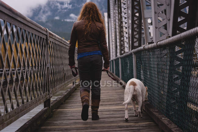 Vue arrière de la femme marchant sur le pont avec son chien de compagnie — Photo de stock