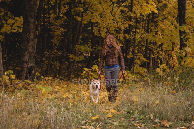 Red haired woman walking in autumn forest with pet dog — Stock Photo