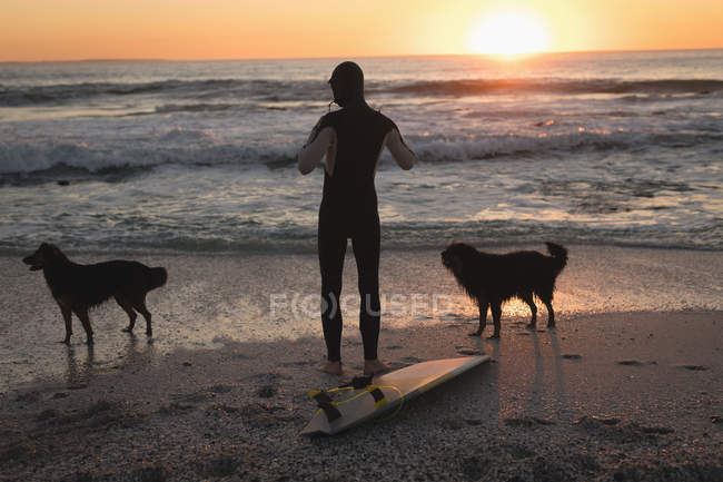 Surfer mit Hunden am Strand von Susnet — Stockfoto