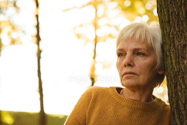 Nahaufnahme einer nachdenklichen Seniorin, die sich an einem sonnigen Tag im Park an einen Baumstamm lehnt — Stockfoto