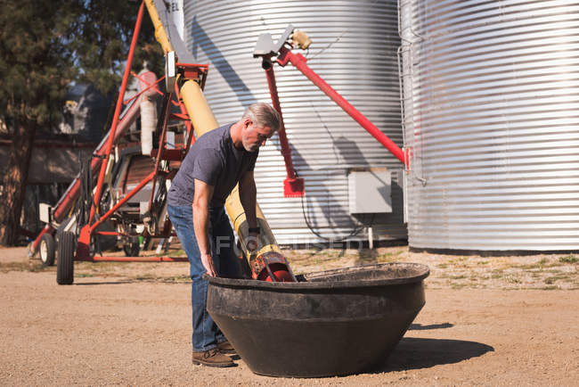 Man refining grain in container at factory — Stock Photo