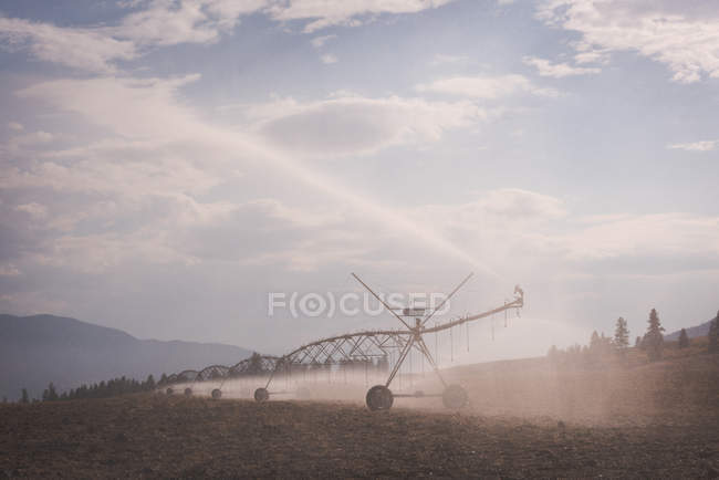 Sistema de riego rociando agua en el campo en un día soleado - foto de stock