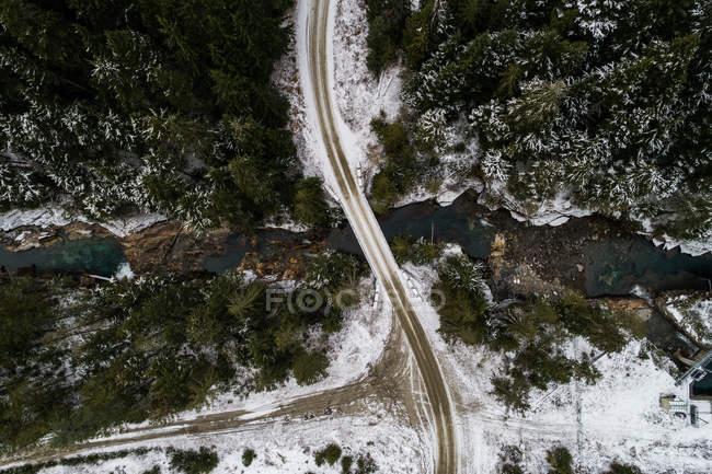 Bridge passing over the river and coniferous forest during winter — Stock Photo