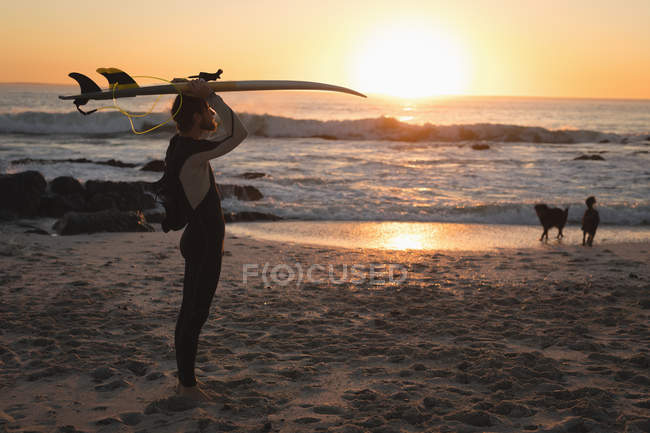 Surfista llevando tabla de surf en la cabeza durante el atardecer - foto de stock