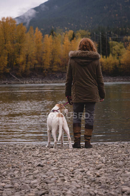 Задний вид женщины с собакой, стоящей у берега реки осенью — стоковое фото