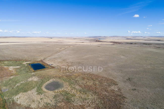 Стоячая вода на пшеничном поле в солнечный день — стоковое фото