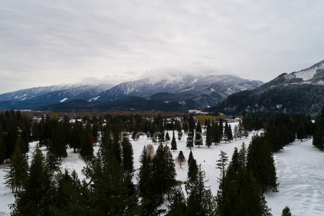 Antenne von Nadelbäumen auf schneebedeckter Landschaft umgeben von Bergen — Stockfoto