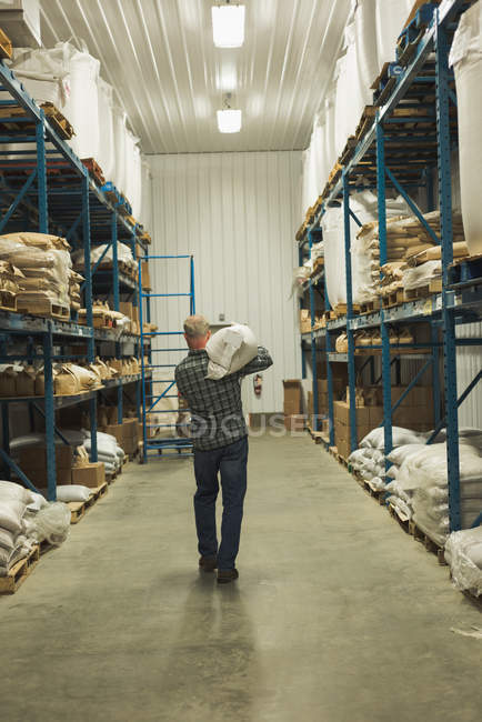 Visão traseira do homem que transporta saco de grão na fábrica — Fotografia de Stock