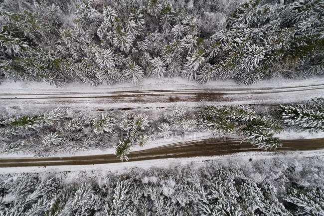 Vue aérienne de la piste de terre traversant la forêt de conifères couverte de neige — Photo de stock