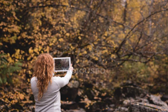 Rückansicht einer Frau, die Herbstpark mit digitalem Tablet fotografiert — Stockfoto