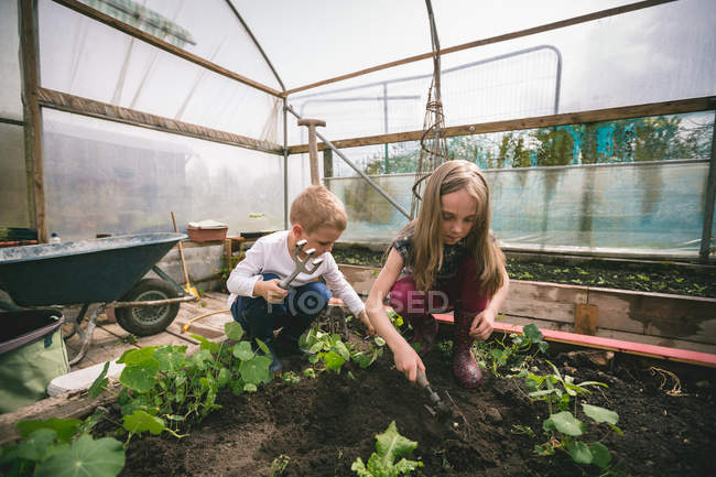 Two little kids spade digging in greenhouse — Stock Photo