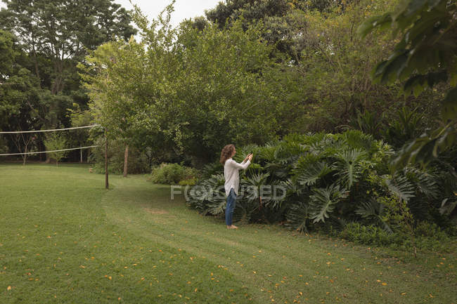 Femme vérifiant les plantes dans le jardin — Photo de stock