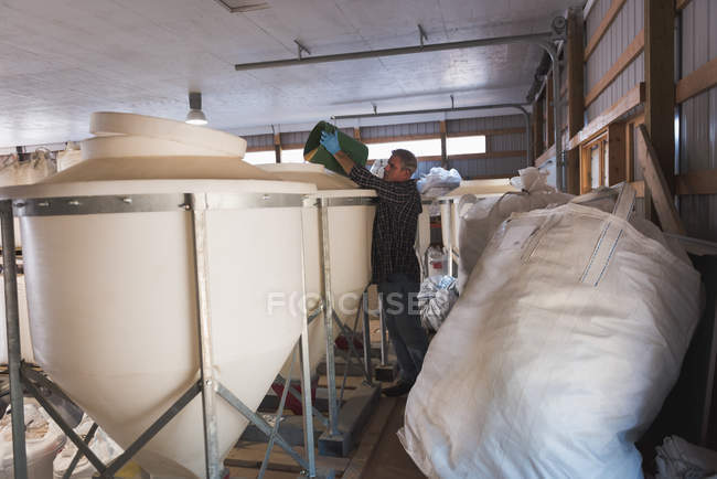 Hombre poniendo granos en elevador de grano en la fábrica - foto de stock
