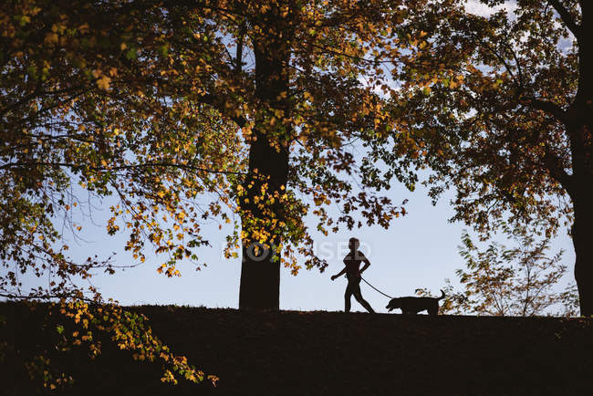 Старшая женщина, гуляющая в парке с собакой в солнечный день — стоковое фото