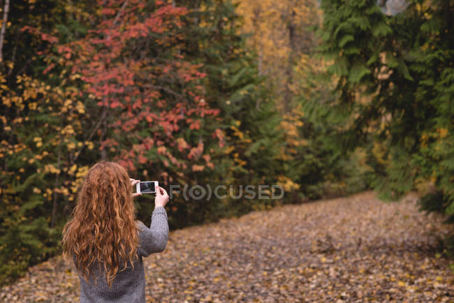 Donna testa rossa che scatta una foto con il telefono nella foresta autunnale — Foto stock