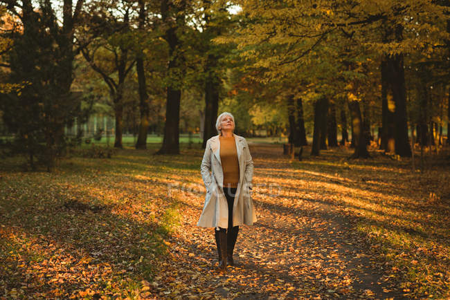 Задумчивая пожилая женщина в куртке смотрит вверх в осеннем лесу в дневное время — стоковое фото