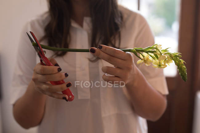 Mid section of woman cutting stem of flower at home — Stock Photo