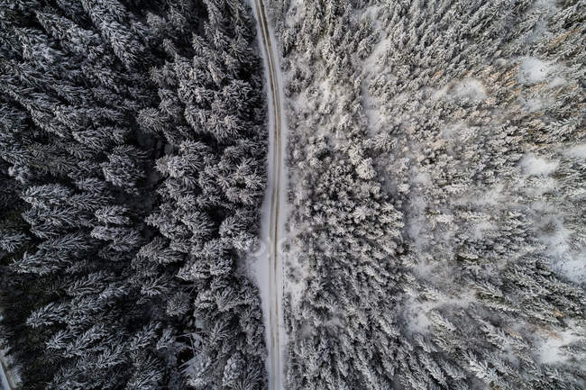 Vista aérea da estrada que passa pela floresta coberta de neve — Fotografia de Stock