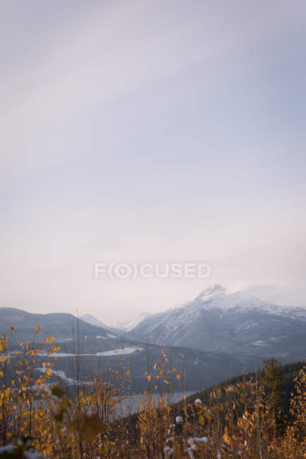Belle montagne enneigée pendant l'hiver — Photo de stock