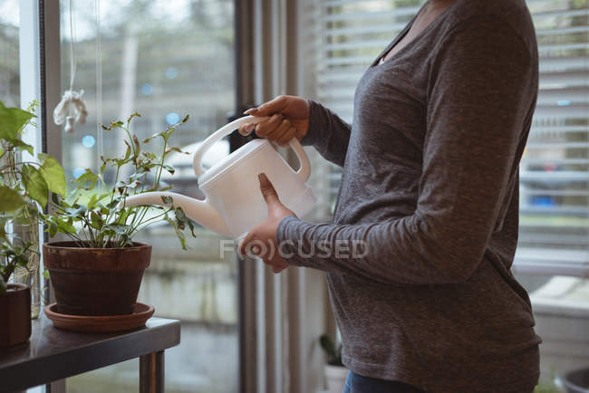 Nahaufnahme einer jungen schwangeren Frau, die die Pflanzen zu Hause gießt — Stockfoto