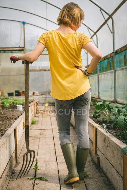 Visão traseira da mulher com garfo de escavação em pé em estufa — Fotografia de Stock